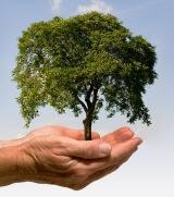 visions-und-reinkarnationstherapie-muenchen